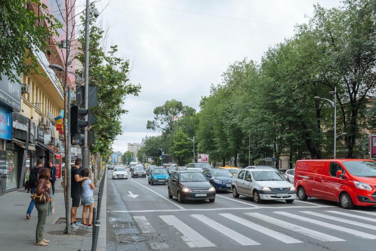 Appartamento Petite Maison Sur Le Boulevard Bucarest