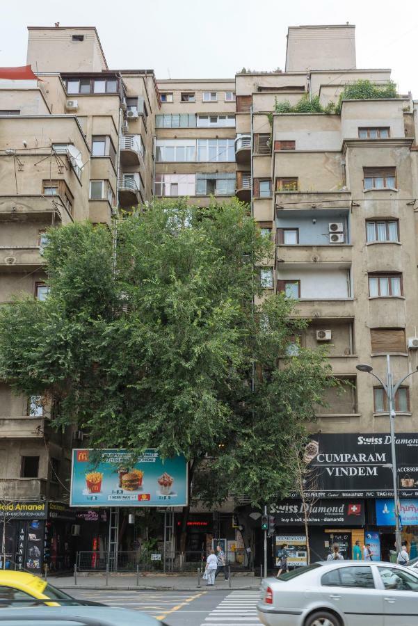 Petite Maison Sur Le Boulevard * Bucharest
